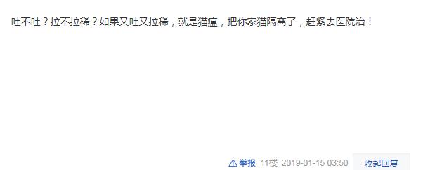 辟谣猫咪并非黑夜都能看得清,辟谣猫咪背锅谣言