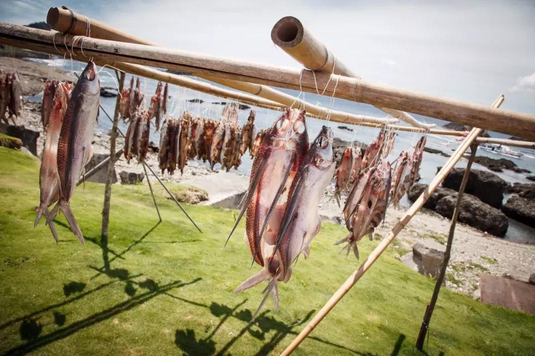 毕业旅行去台湾有哪些注意事项,大学生去台湾旅游攻略