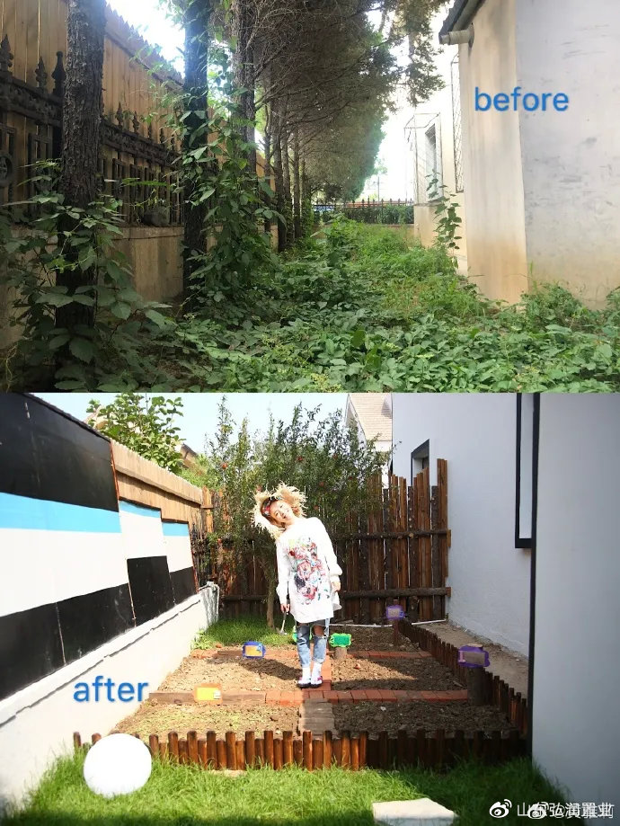 李子柒的城市视频,城市版的李子柒