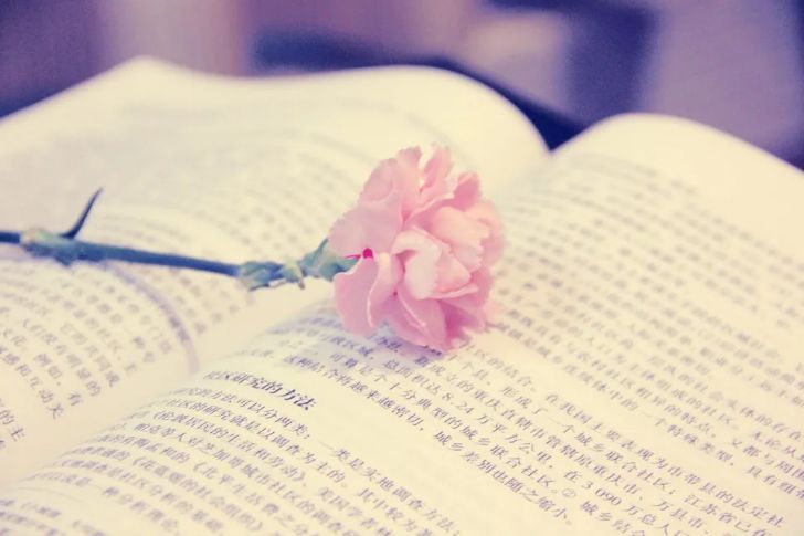 儒林外史精彩的名言名句,儒林外史书中名言