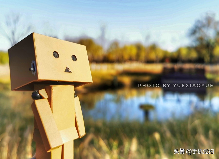 生活小妙招手机摄影,生活小妙招如何拍出爆款