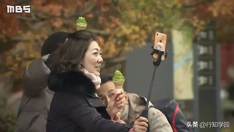 宇治抹茶进口和国产有什么区别 (国产的宇治抹茶)