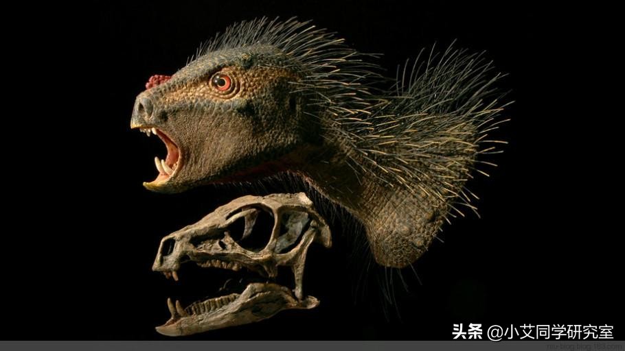 世界上要怎样才能重新复活恐龙,用琥珀复活恐龙动画