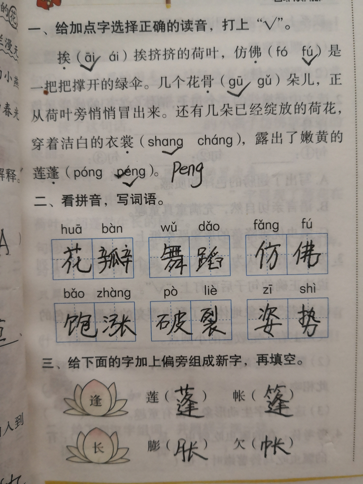 三年级下册语文荷花预习笔记,星凝老师