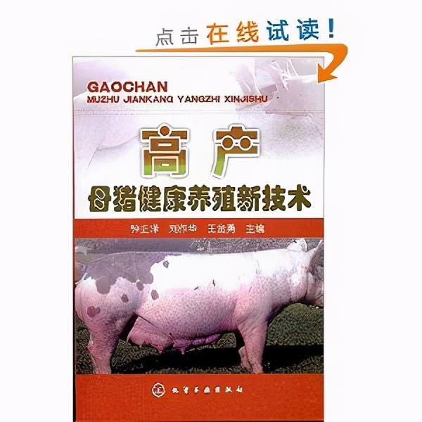 表面上大家都是打工人，有的同事却背地里学习《母猪的产后护理》