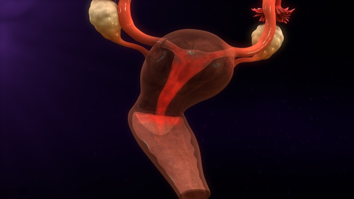 涨知识揭秘,涨知识小秘密