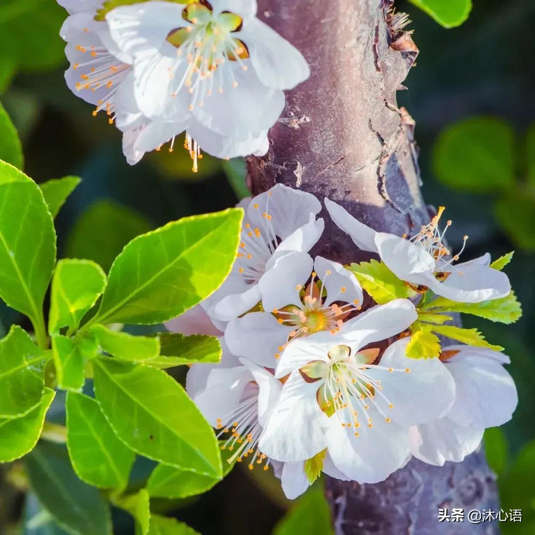 走了下坡路腿软怎么办,走在下坡路上