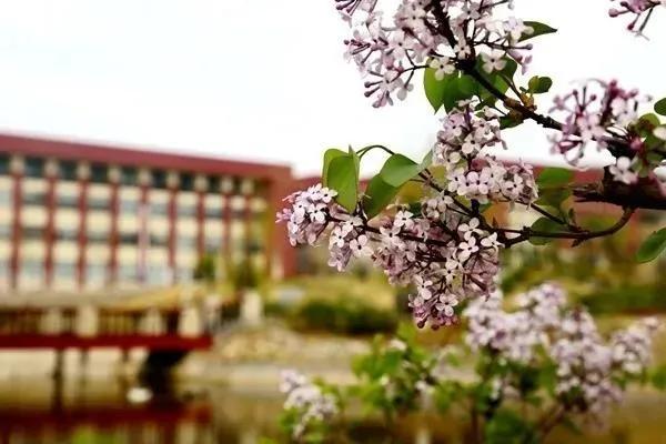 知云时代教育科技有限公司,知云时代教育招生