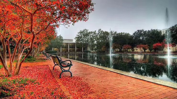 签证到期因为疫情无法回国怎么办,美国留学生因疫情签证超期怎么办