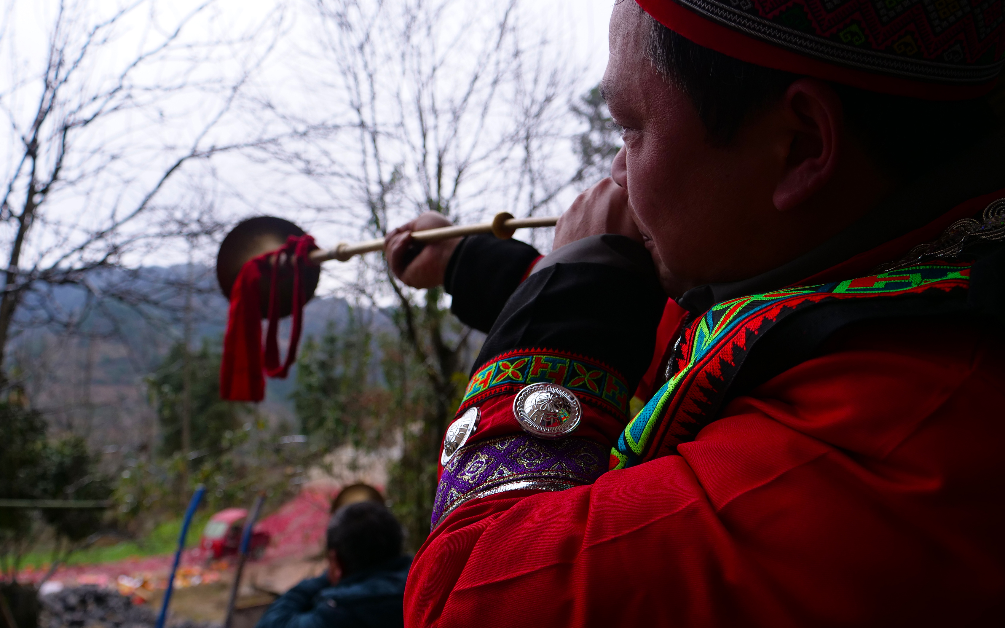 龙脑袋,龙脑袋配色