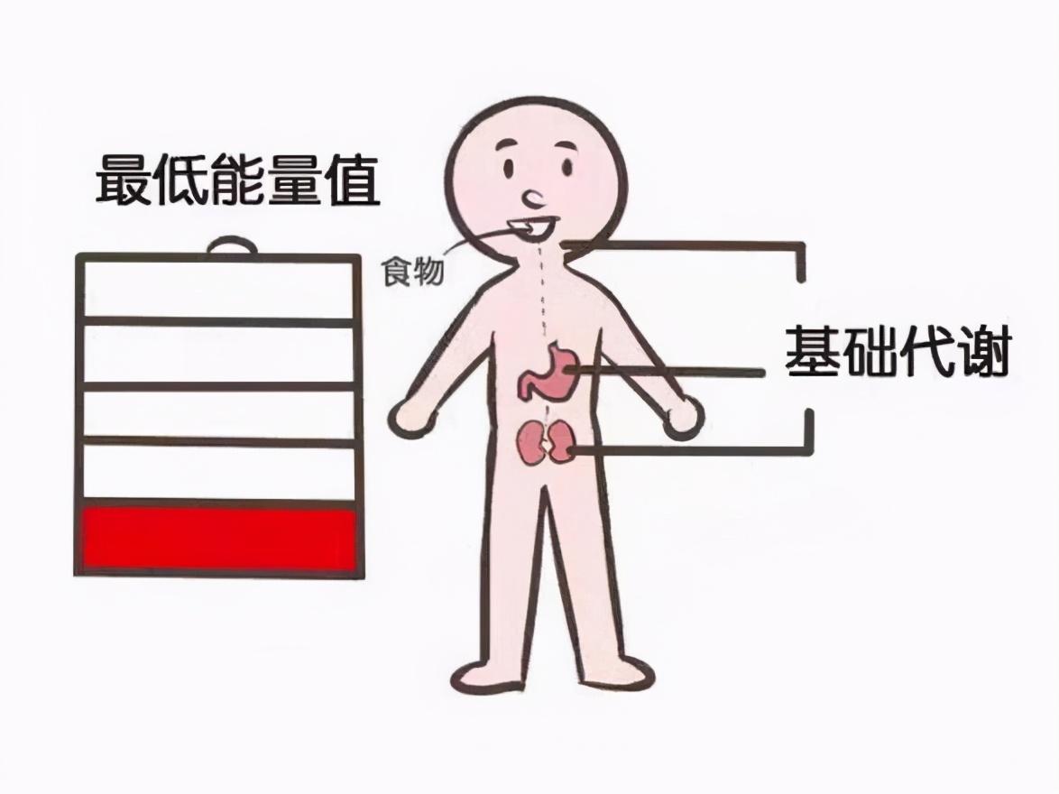 哺乳期怎样减肥可以瘦而不减奶,哺乳期吃什么奶水多又能减肥