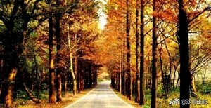 繁华三千已是过眼云烟,繁华三千终不过过眼云烟