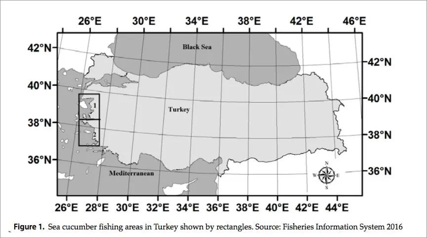 不加敌敌畏的海参，也不值得吃｜大象公会