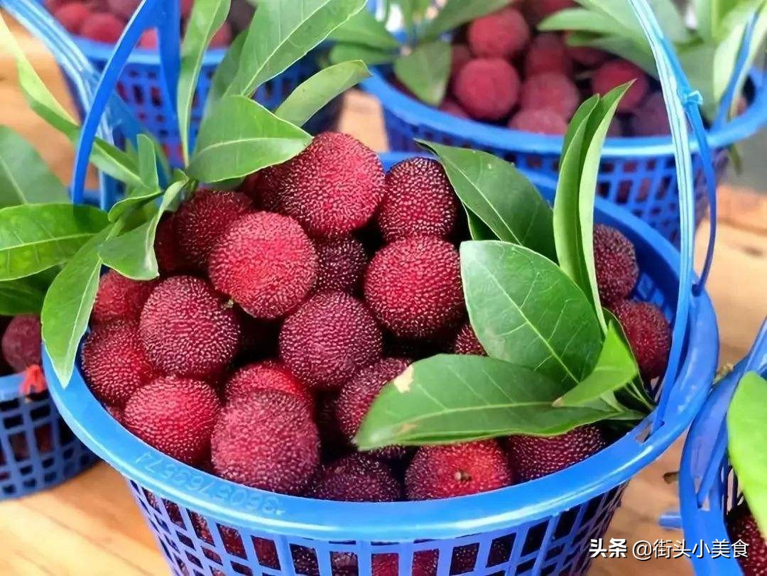 杨梅酿酒的制酒方法,在家如何酿酒杨梅酒