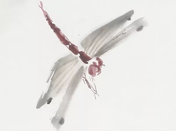 蜻蜓荷花图怎么画,夏天带有荷花蜻蜓的场景画法