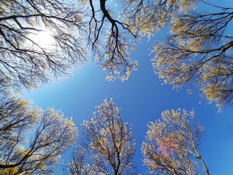 后期调色是怎么回事,后期调色多难