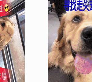 美图秀秀最新教程视频,美图秀秀高级玩法