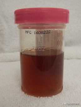 夏季炎热，狗狗便血而亡，元凶藏在这里！你家狗也会有