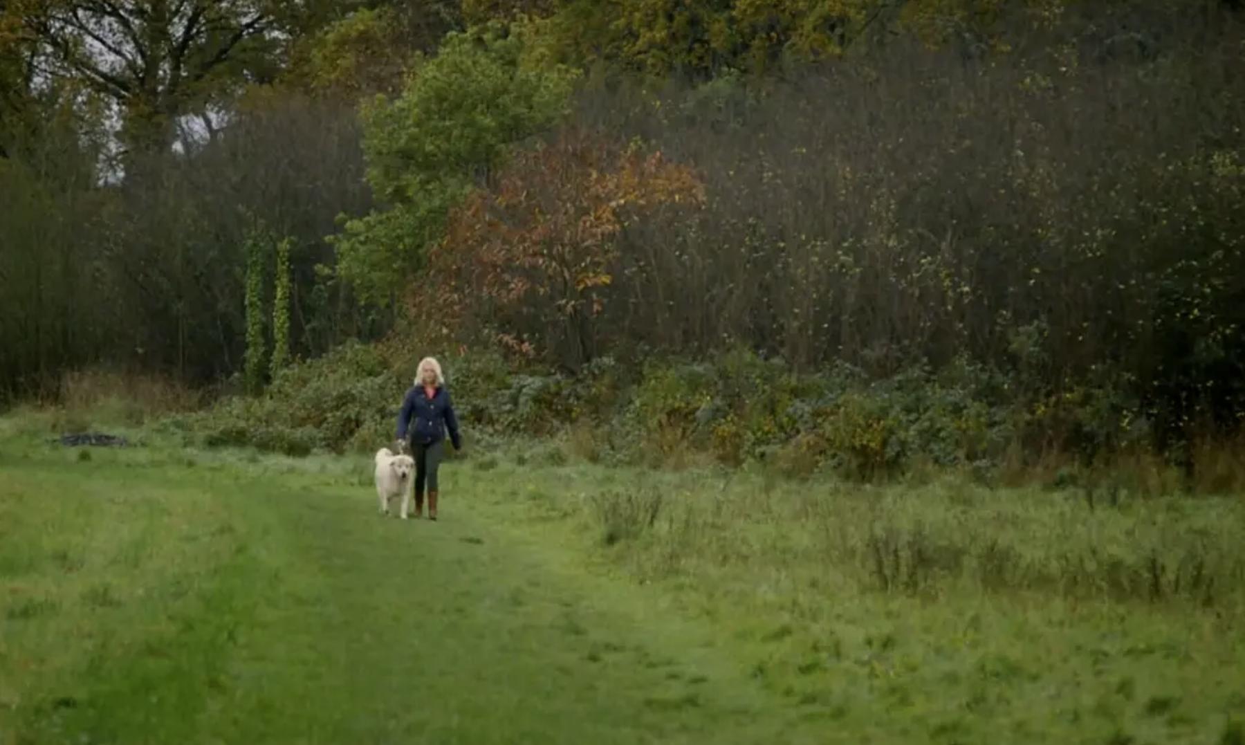 西蒙安乐死纪录片原版,西蒙安乐死纪录片感受