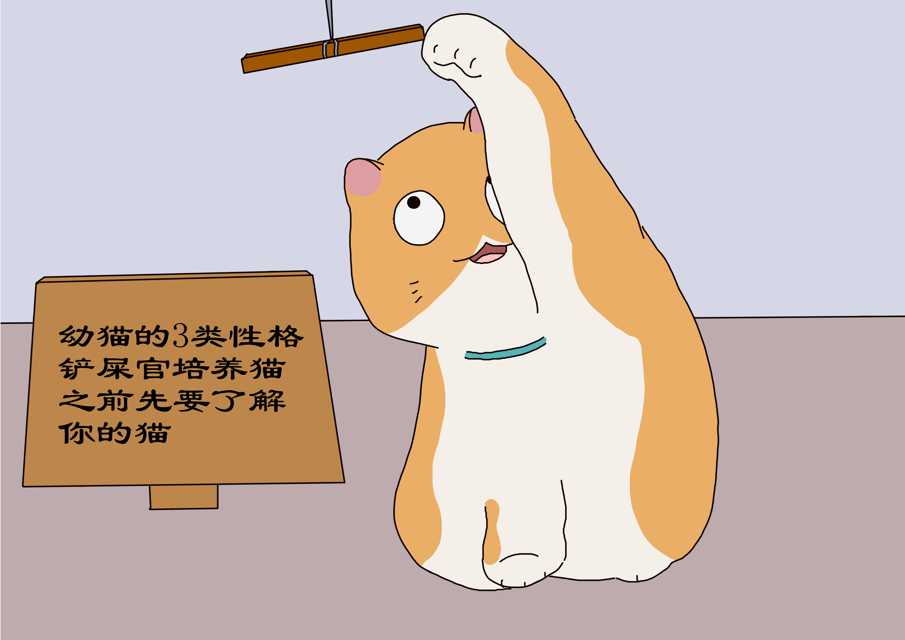 幼猫性格差异的表现,幼猫性格好表现有哪些特点