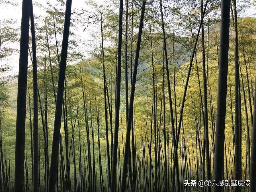 莫干山住宿排行榜新鲜出炉,这座“国民冰箱”堪比夏日芬达