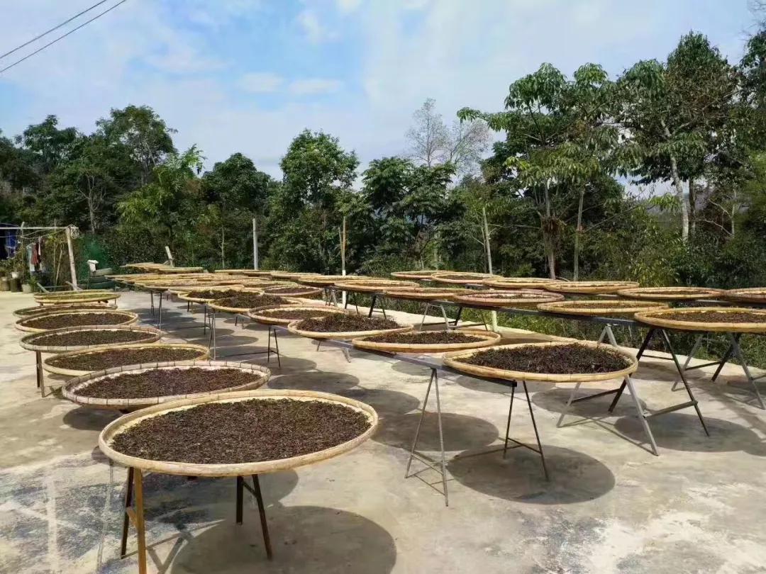 普洱茶韵好喝吗,普洱茶韵是什么