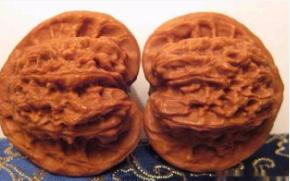 四大名核之一的核桃是哪几种,核桃里的四大名核