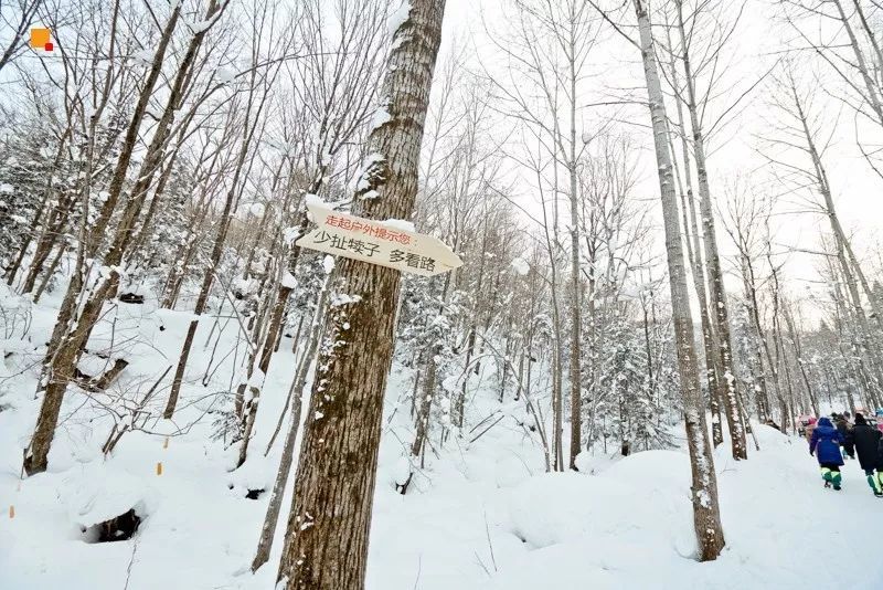 2016雪乡冰雪马拉松暨徒步穿越赛,2019长春全国冰雪徒步大会