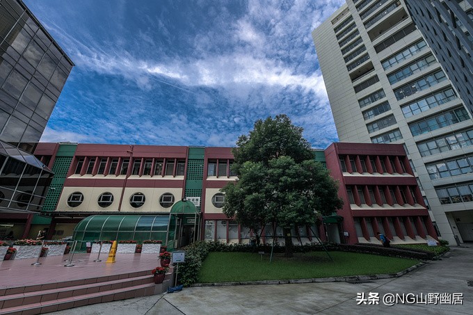 澳门半岛鲜有的公立大学，师资力量居世界前列，却以“学院”命名