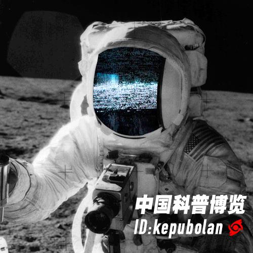 淹死一条鱼几分钟,如何淹死一条鱼