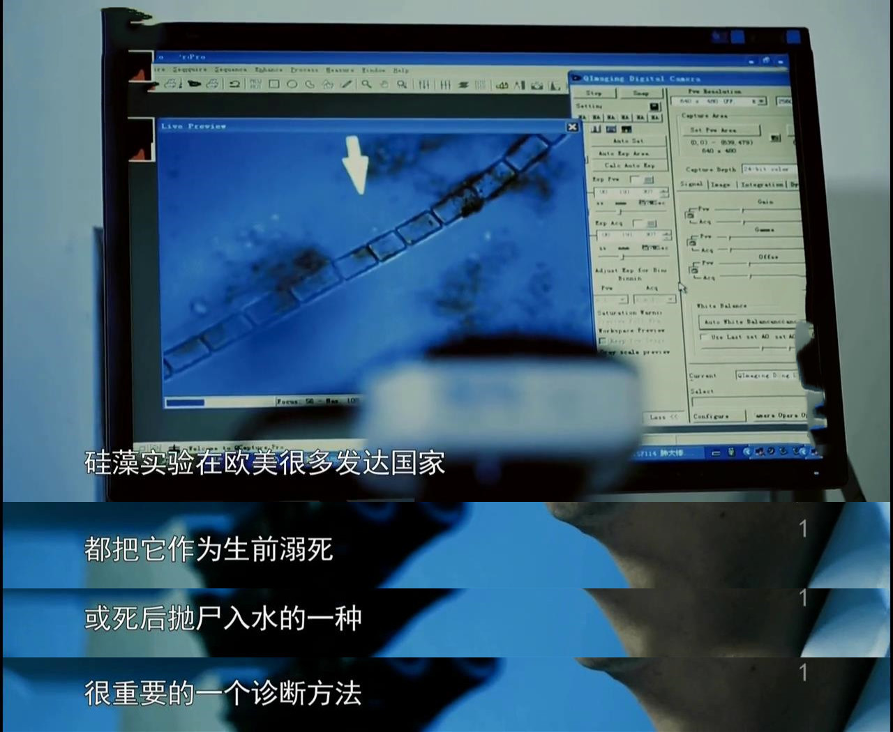 显微镜下的海洋生物,显微镜下的海洋