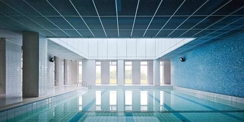 上海的十所顶级国际幼儿园,上海十大最美公办幼儿园