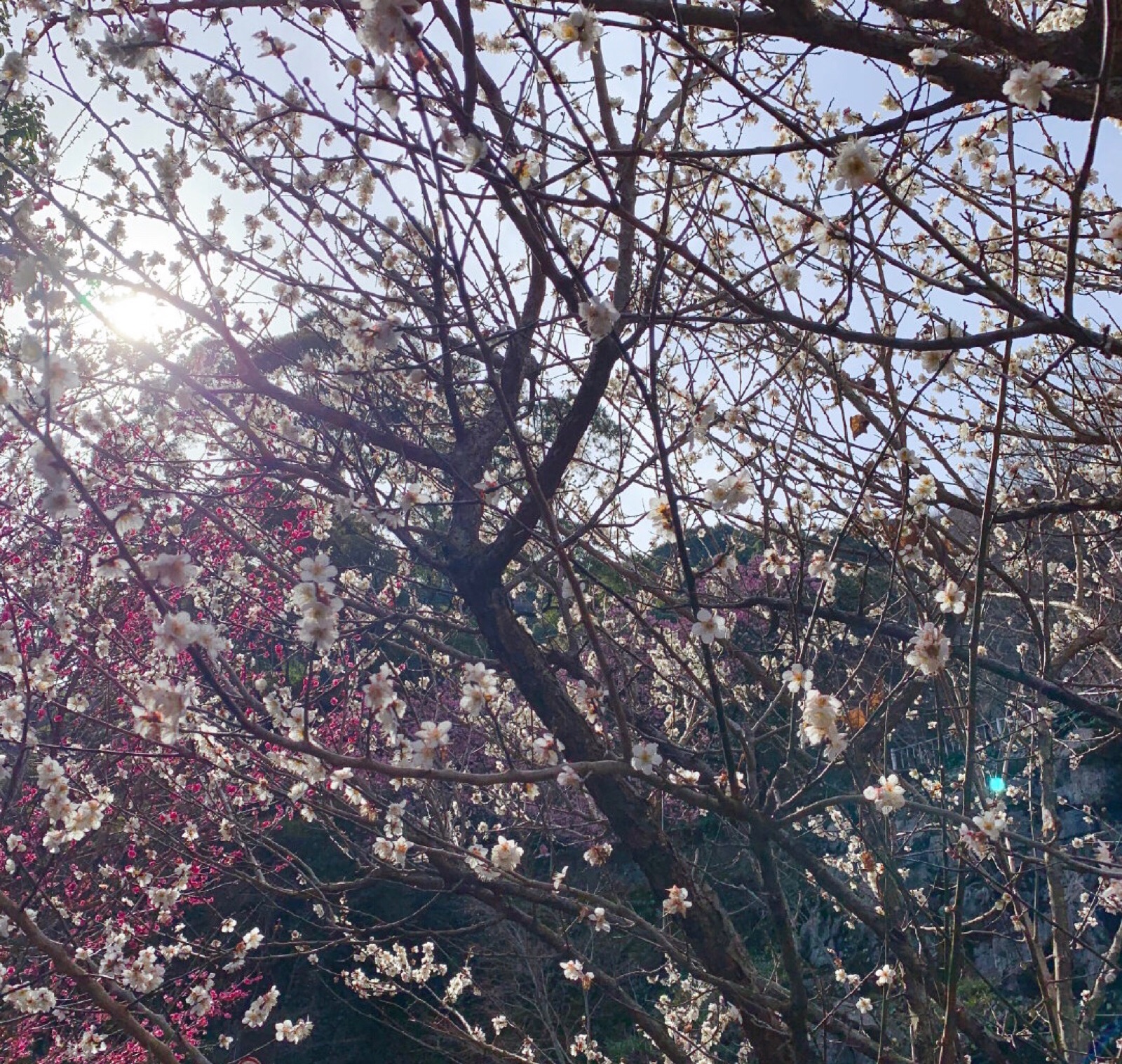 老夫妻笑话笑死人不偿命,爆笑的笑话笑到肚子疼要死