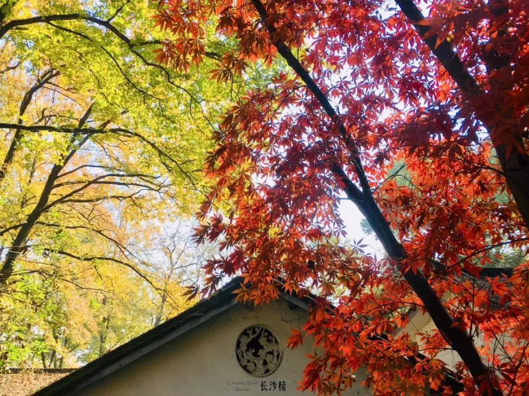 长沙攻略必打卡景点推荐,超实用长沙攻略必去景点打卡