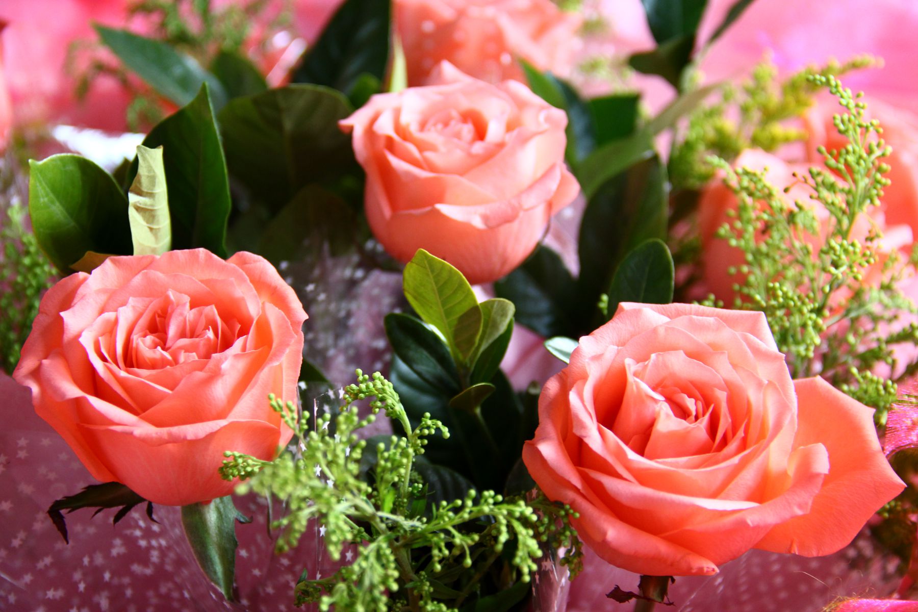 送花寓意健康,送花礼仪中送花有什么讲究