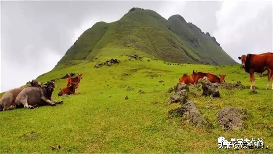 茂名属于几线城市？看过来，茂名的城市魅力在这里