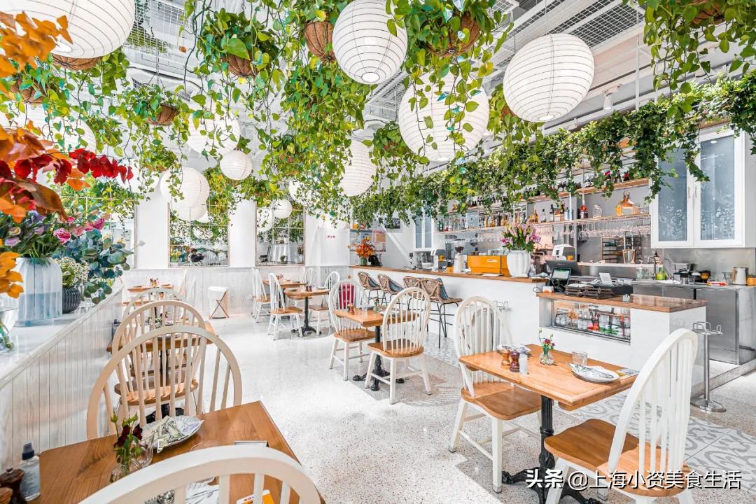 七夕保命旅游攻略,魔都七夕旅游攻略