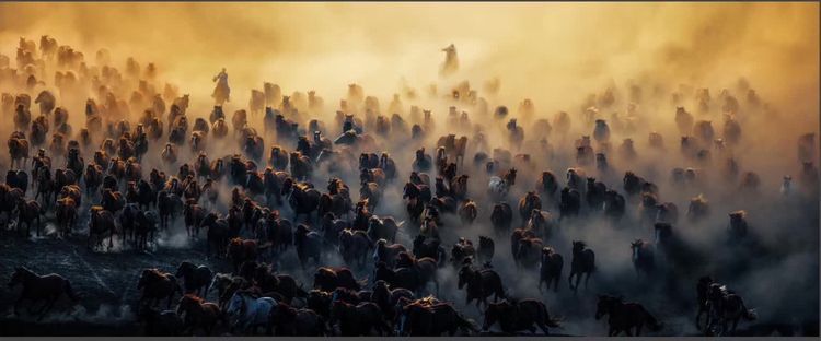 国际旅游摄影作品欣赏,国际旅游摄影官网