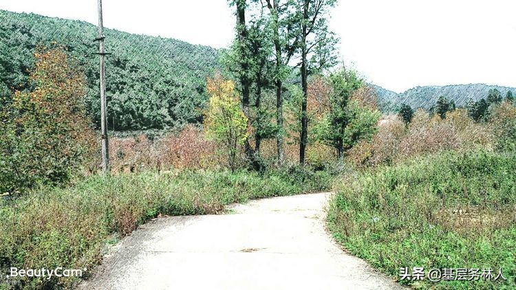 云南澄江兵工厂,云南兵工厂旧址