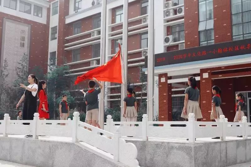 金水区小学排名,金水区23所知名小学解析