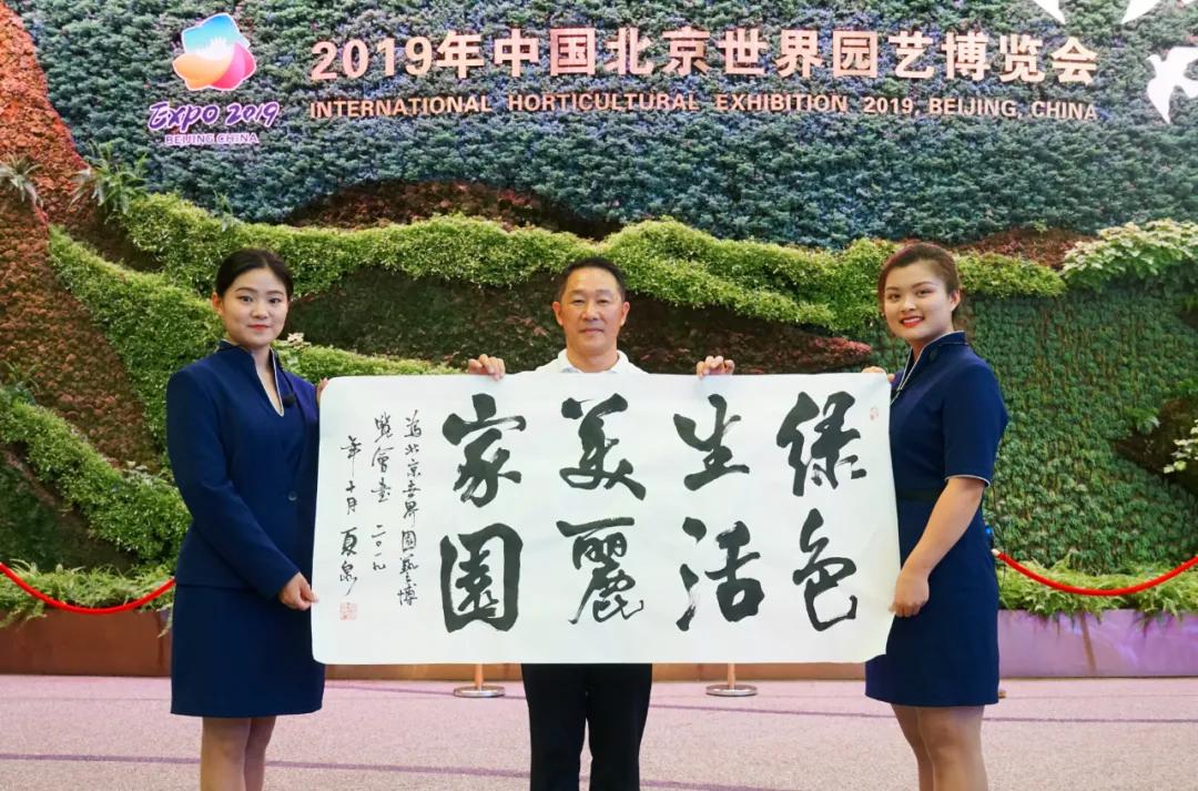 潇洒自如书法,潇洒自如书卷气