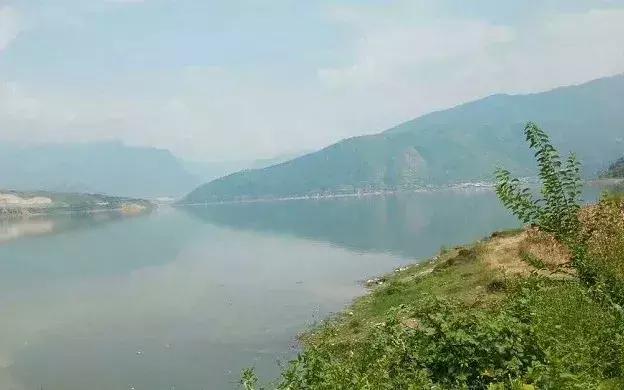 手竿钓草鱼还是海竿好,钓草鱼用海竿还是手竿好