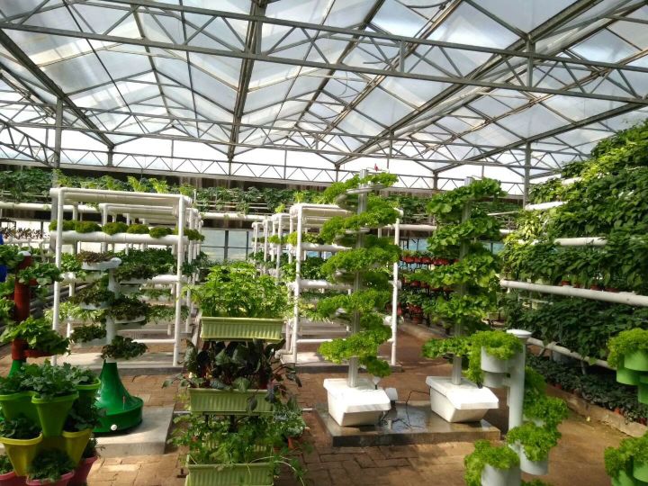 蔬菜无土栽培基质自制方法,花卉无土栽培的十几种常用基质