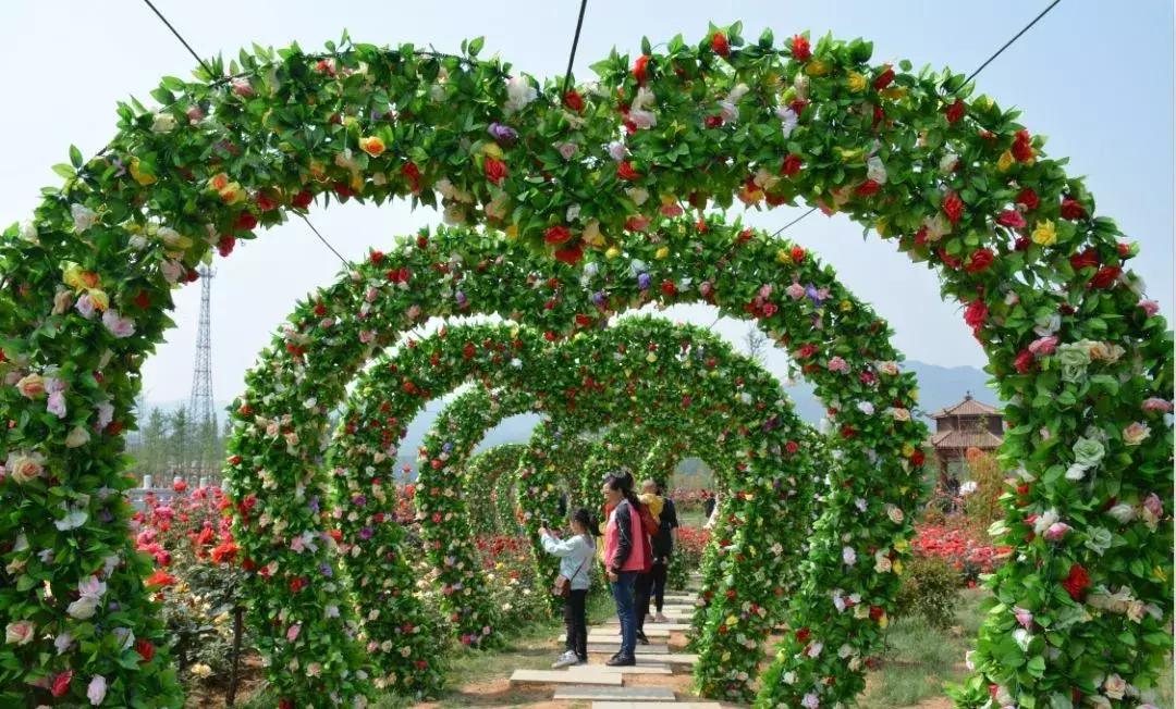 五一八泉峡景区接待量,西峡旅游迎来客流新高峰