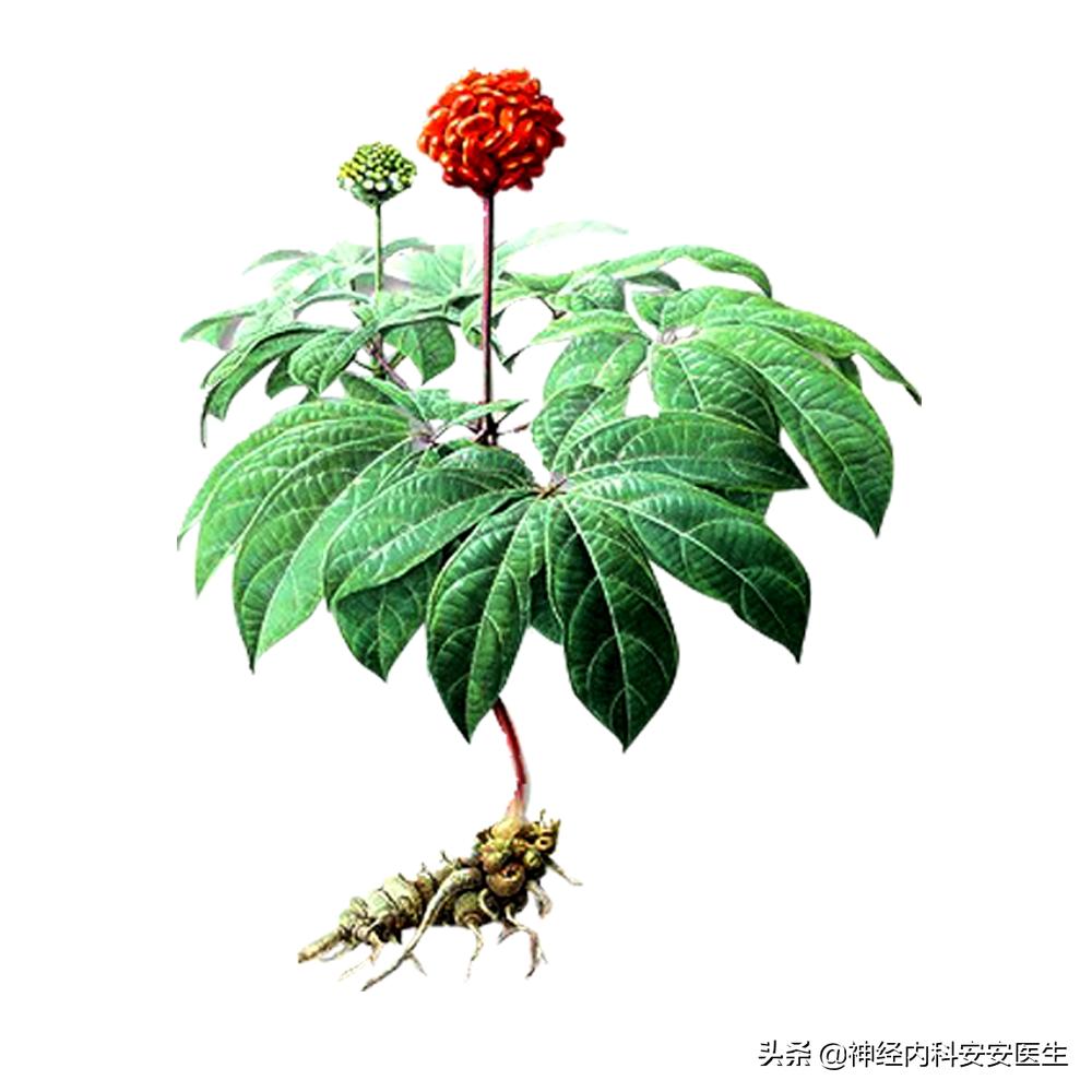 脑梗的病人有必要吃三七粉吗,脑梗塞开药多少钱