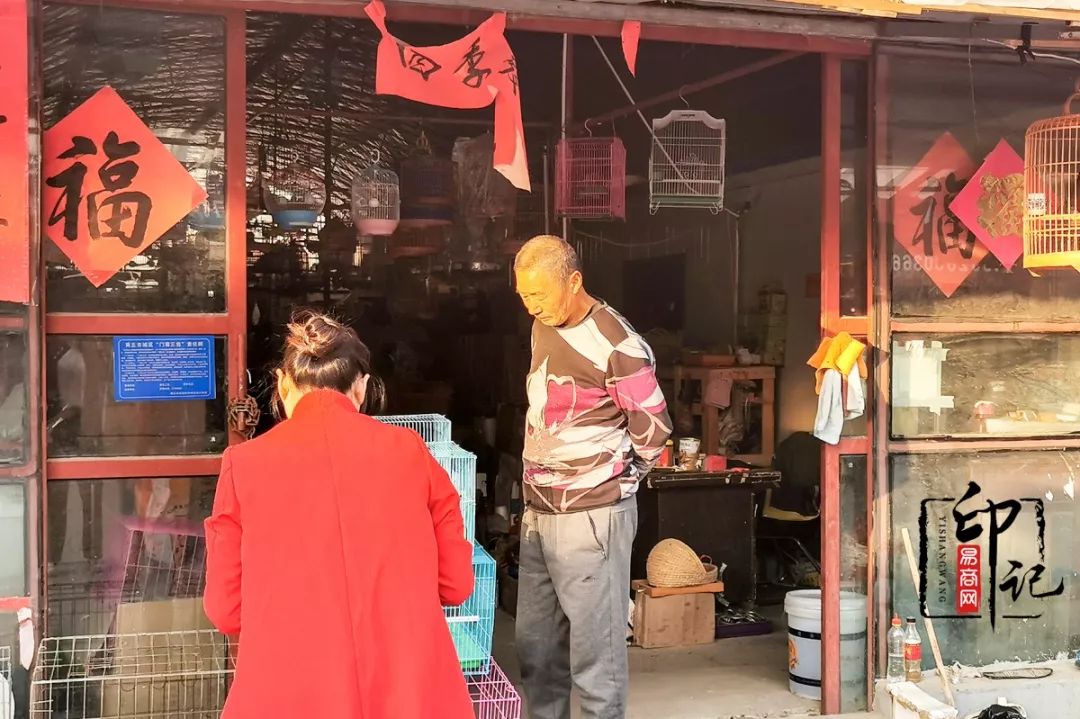 商丘道北花鸟批发市场,商丘花鸟宠物市场