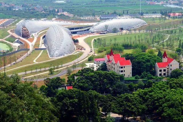 松江区夏日游玩攻略,松江古镇旅游攻略一日游