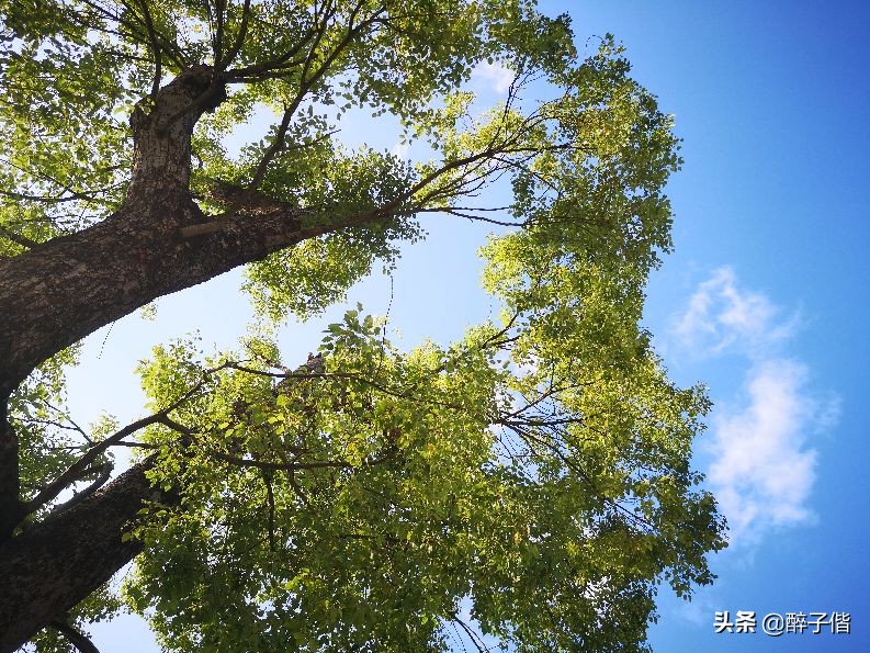 深圳大羊台风景,深圳阳台山看日落