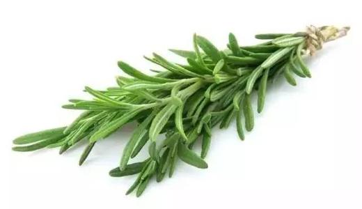 有头屑头皮痒怎么解决小妙招,头屑多头皮痒什么原因怎样解决