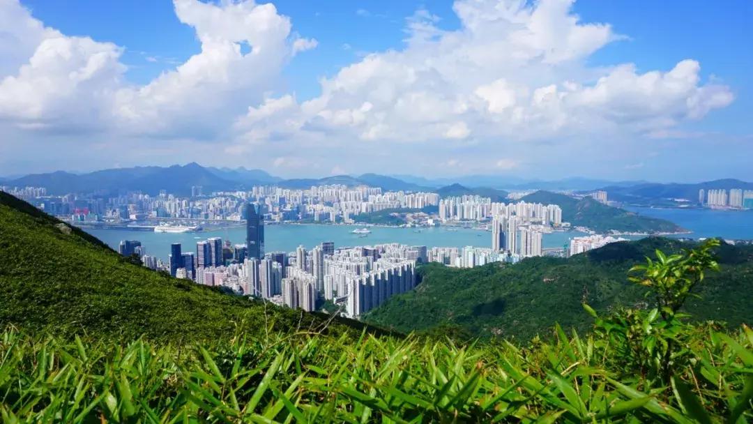 香港冬天徒步麦理浩径攻略,香港麦理浩徒步路线